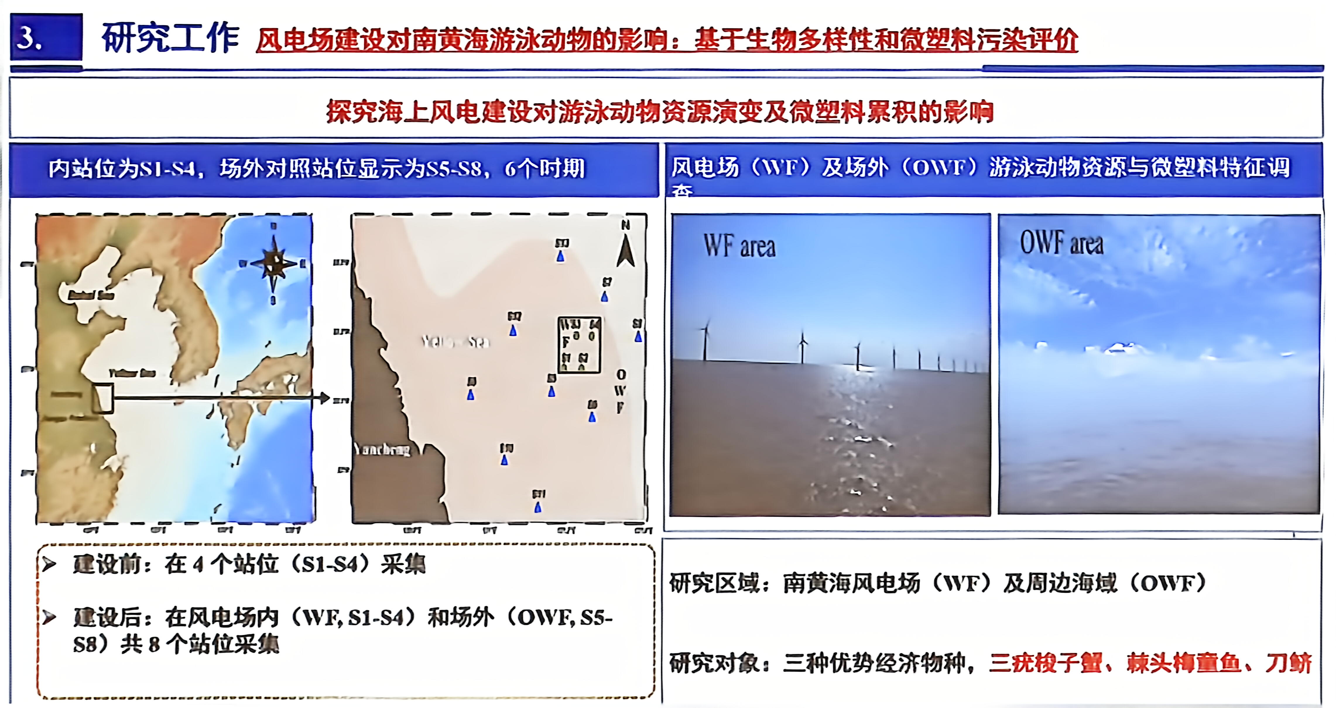 微塑料污染与海洋生态风险研究（第七届全国环境微塑料污染与管控学术研讨会‌报告分享二）